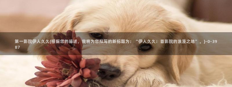 久久久影院伊人中文